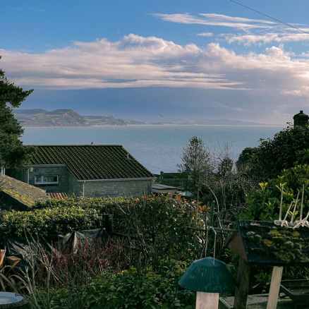 yard with birdhouse near shrubs and plants near cottage
